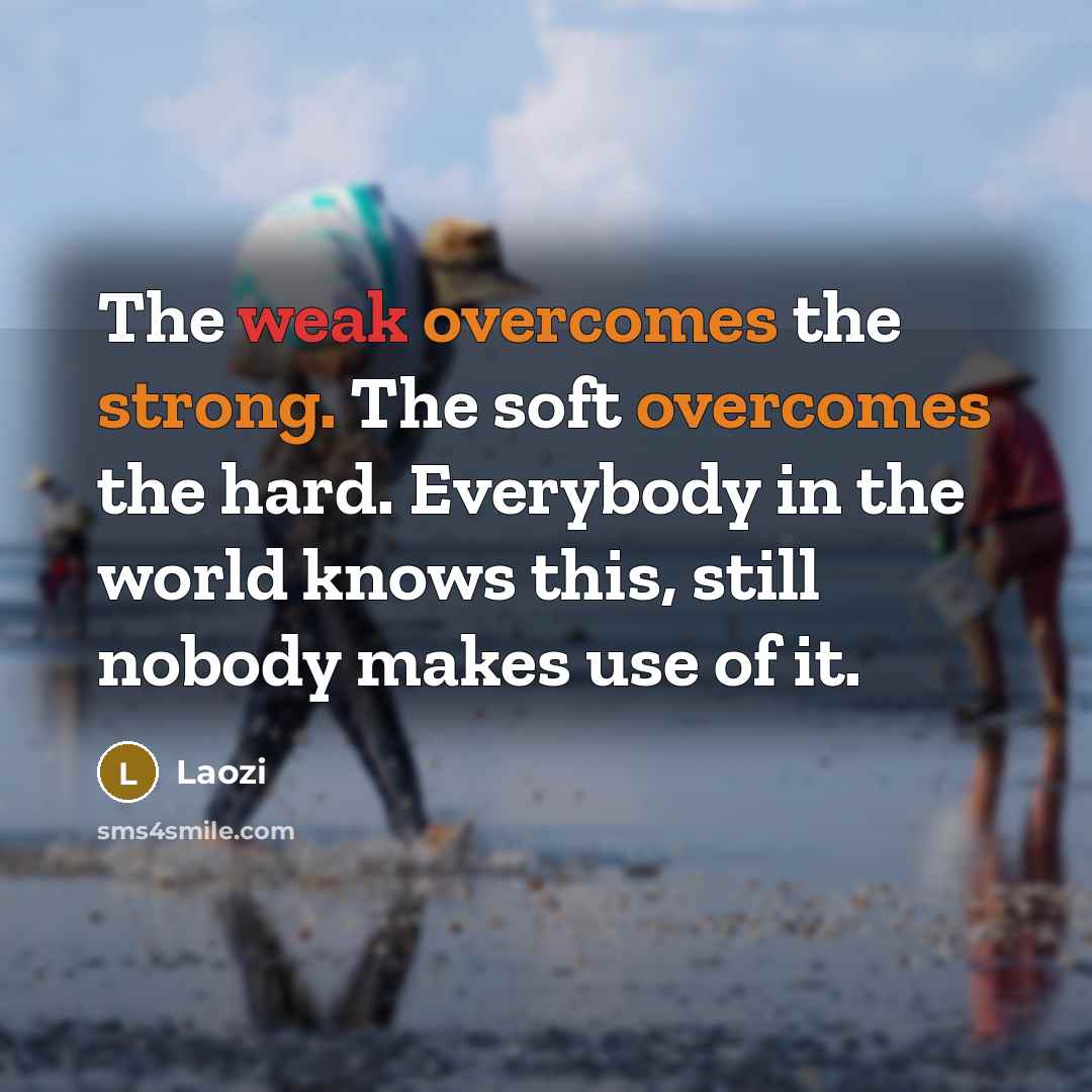 “The weak overcomes the strong. The soft overcomes the hard. Everybody in the world knows this, still nobody makes use of it.” quote by Laozi