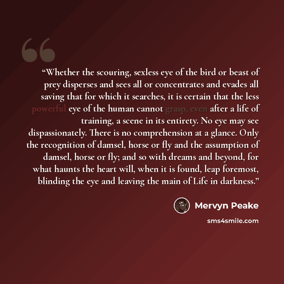 “Whether the scouring, sexless eye of the bird or beast of prey disperses and sees all or concentrates and evades all saving that for which it searches, it is certain that the less powerful eye of the human cannot grasp, even after a life of training, a scene in its entirety. No eye may see…” quote by Mervyn Peake