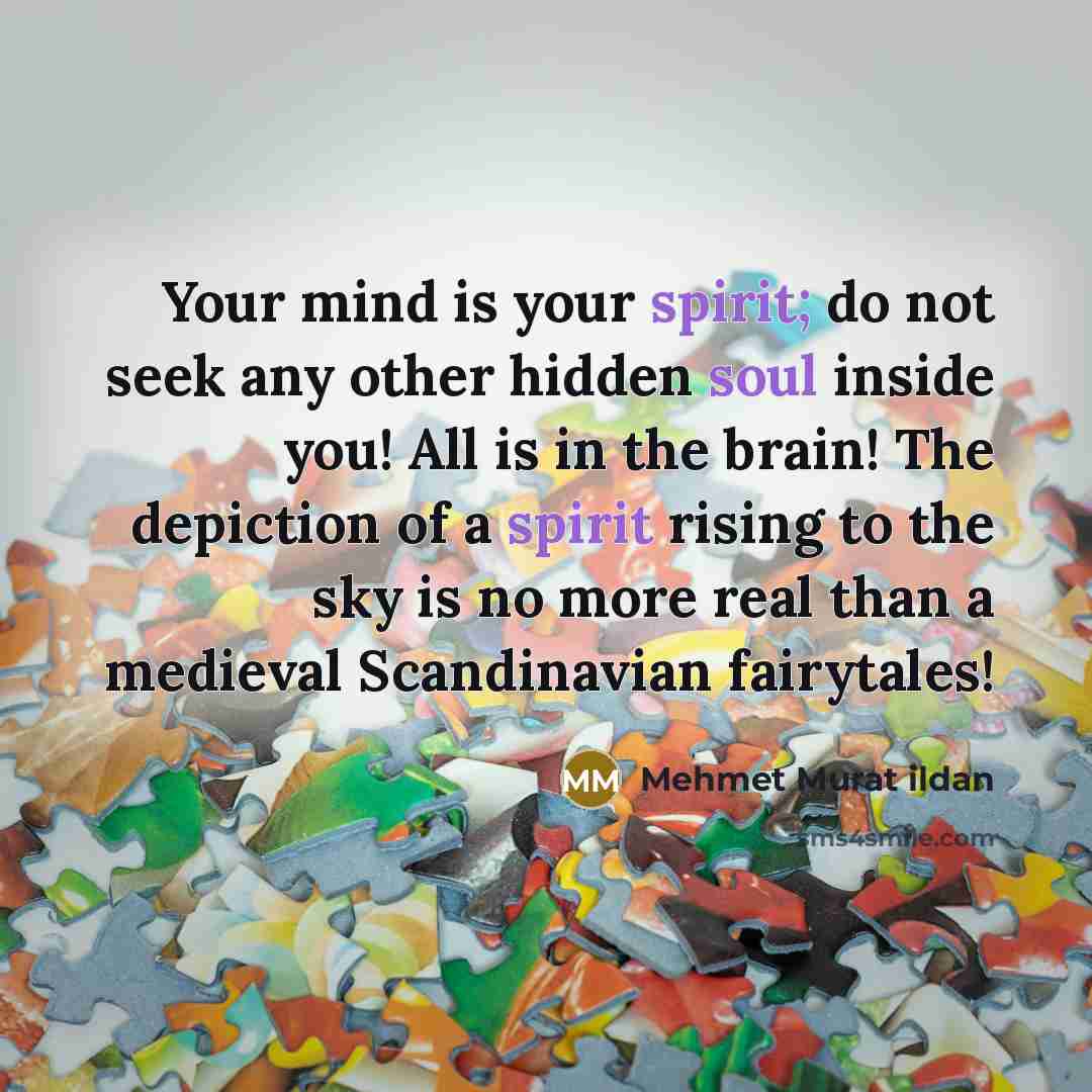 “Your mind is your spirit; do not seek any other hidden soul inside you! All is in the brain! The depiction of a spirit rising to the sky is no more real than a medieval Scandinavian fairytales!” quote by Mehmet Murat Ildan