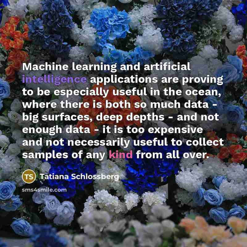 “Machine learning and artificial intelligence applications are proving to be especially useful in the ocean, where there is both so much data - big surfaces, deep depths - and not enough data - it is too expensive and not necessarily useful to collect samples of any kind from all over.” quote by Tatiana Schlossberg