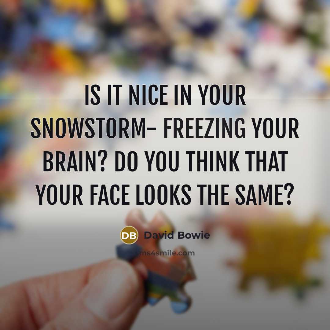 “Is it Nice in your snowstorm- freezing your brain? Do you think that your face looks the same?” quote by David Bowie