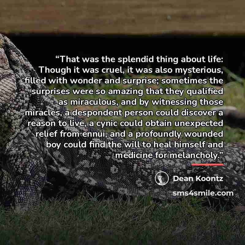 “That was the splendid thing about life: Though it was cruel, it was also mysterious, filled with wonder and surprise; sometimes the surprises were so amazing that they qualified as miraculous, and by witnessing those miracles, a despondent person could discover a reason to live, a cynic could…” quote by Dean Koontz