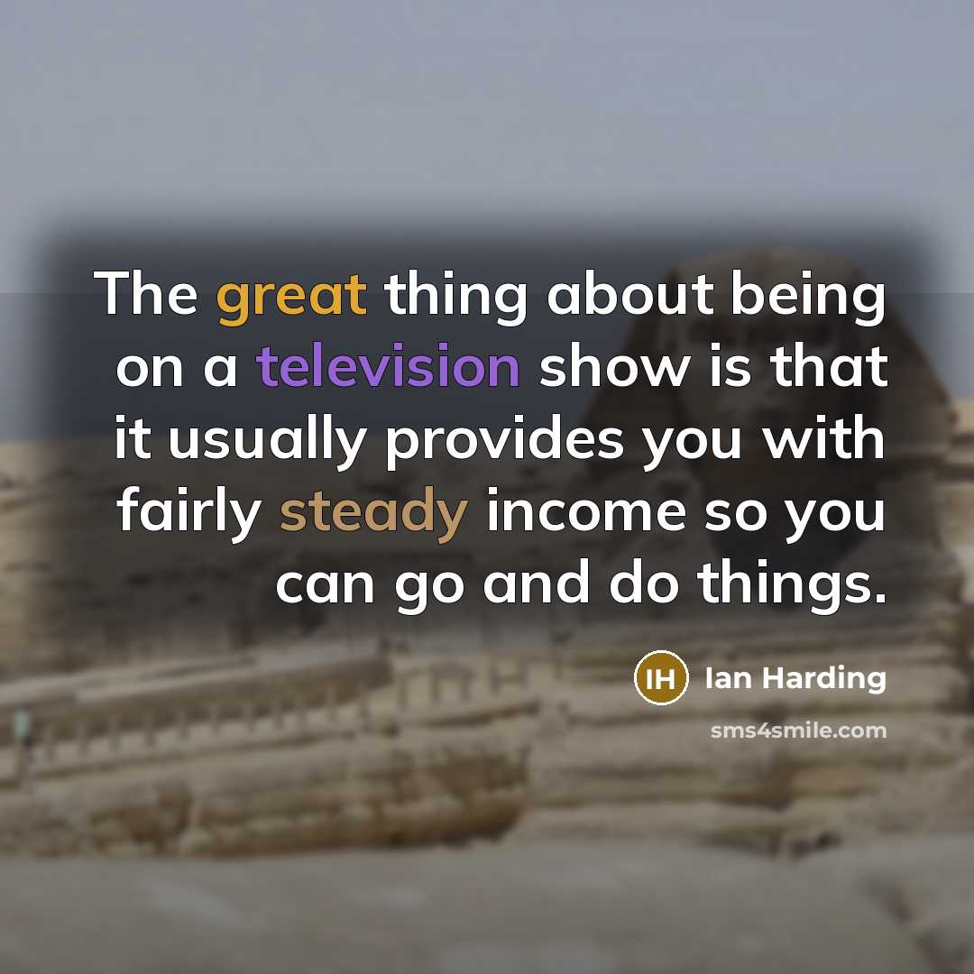 “The great thing about being on a television show is that it usually provides you with fairly steady income so you can go and do things.” quote by Ian Harding