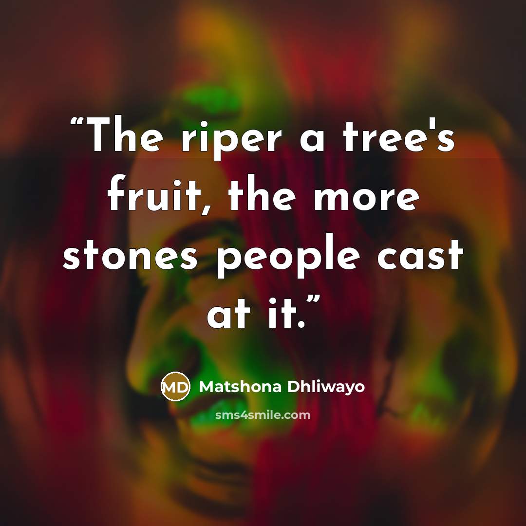 “The riper a tree's fruit, the more stones people cast at it.” quote by Matshona Dhliwayo