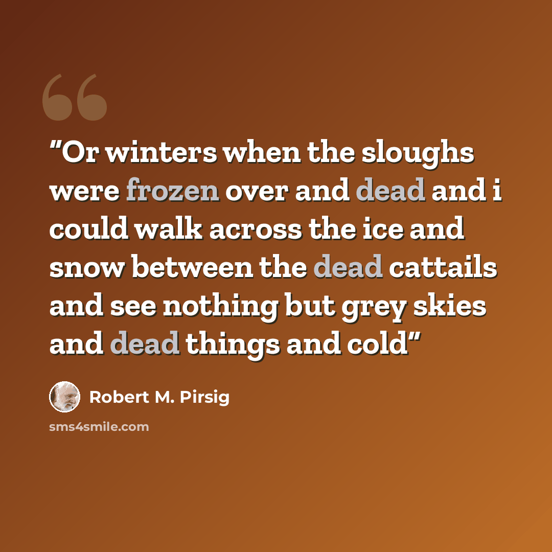 “Or winters when the sloughs were frozen over and dead and i could walk across the ice and snow between the dead cattails and see nothing but grey skies and dead things and cold” quote by Robert M. Pirsig