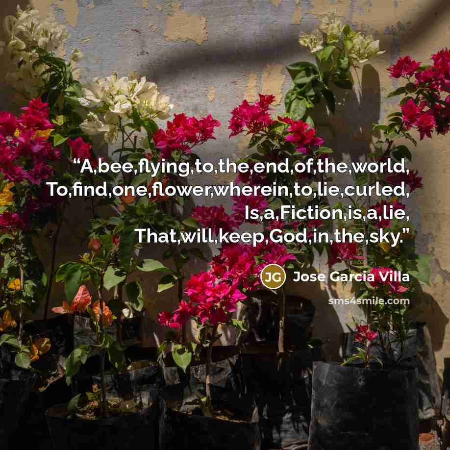 “A,bee,flying,to,the,end,of,the,world, To,find,one,flower,wherein,to,lie,curled, Is,a,Fiction,is,a,lie, That,will,keep,God,in,the,sky.” quote by Jose Garcia Villa