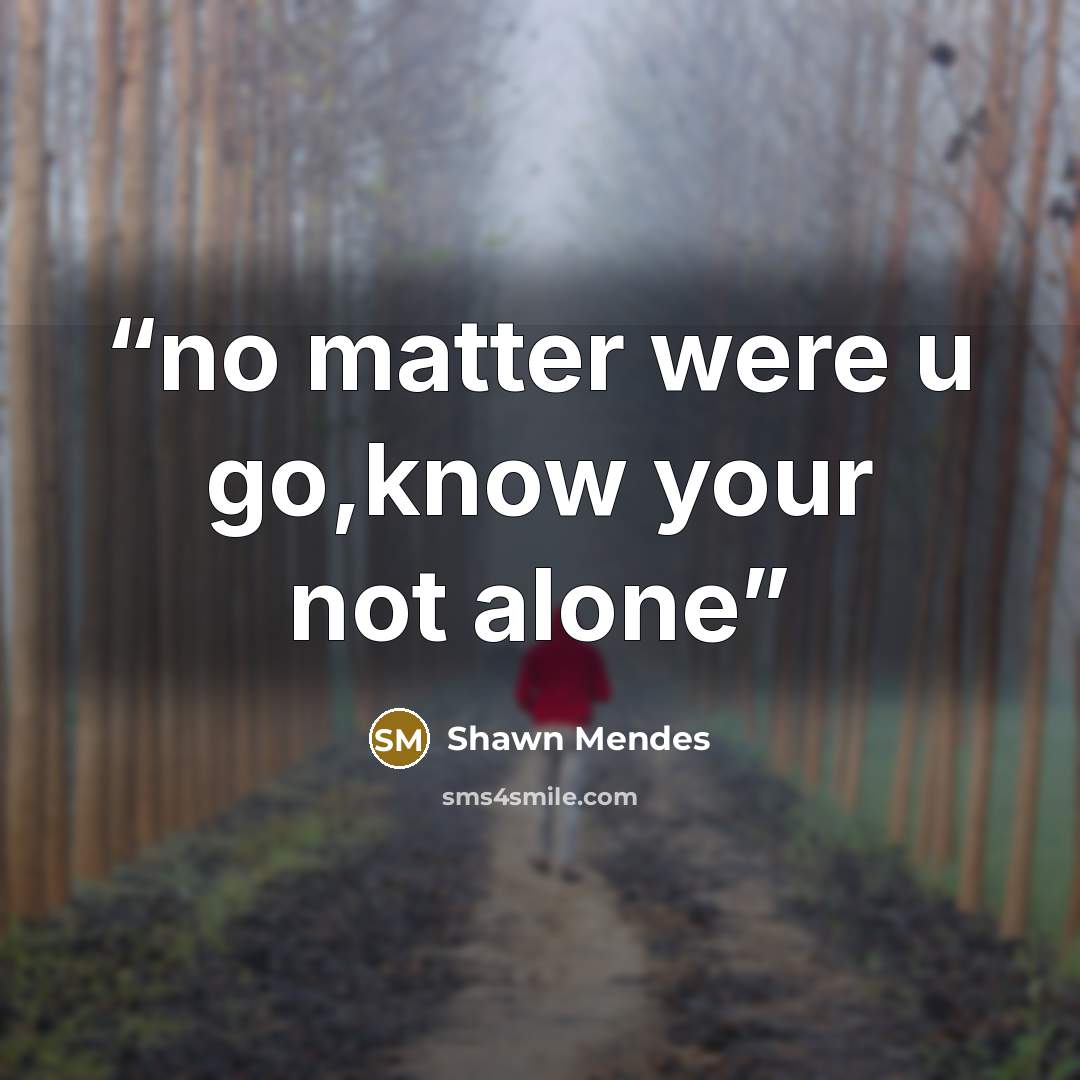 “no matter were u go,know your not alone” quote by Shawn Mendes