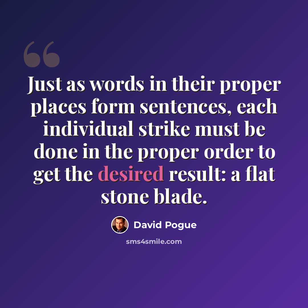 “Just as words in their proper places form sentences, each individual strike must be done in the proper order to get the desired result: a flat stone blade.” quote by David Pogue