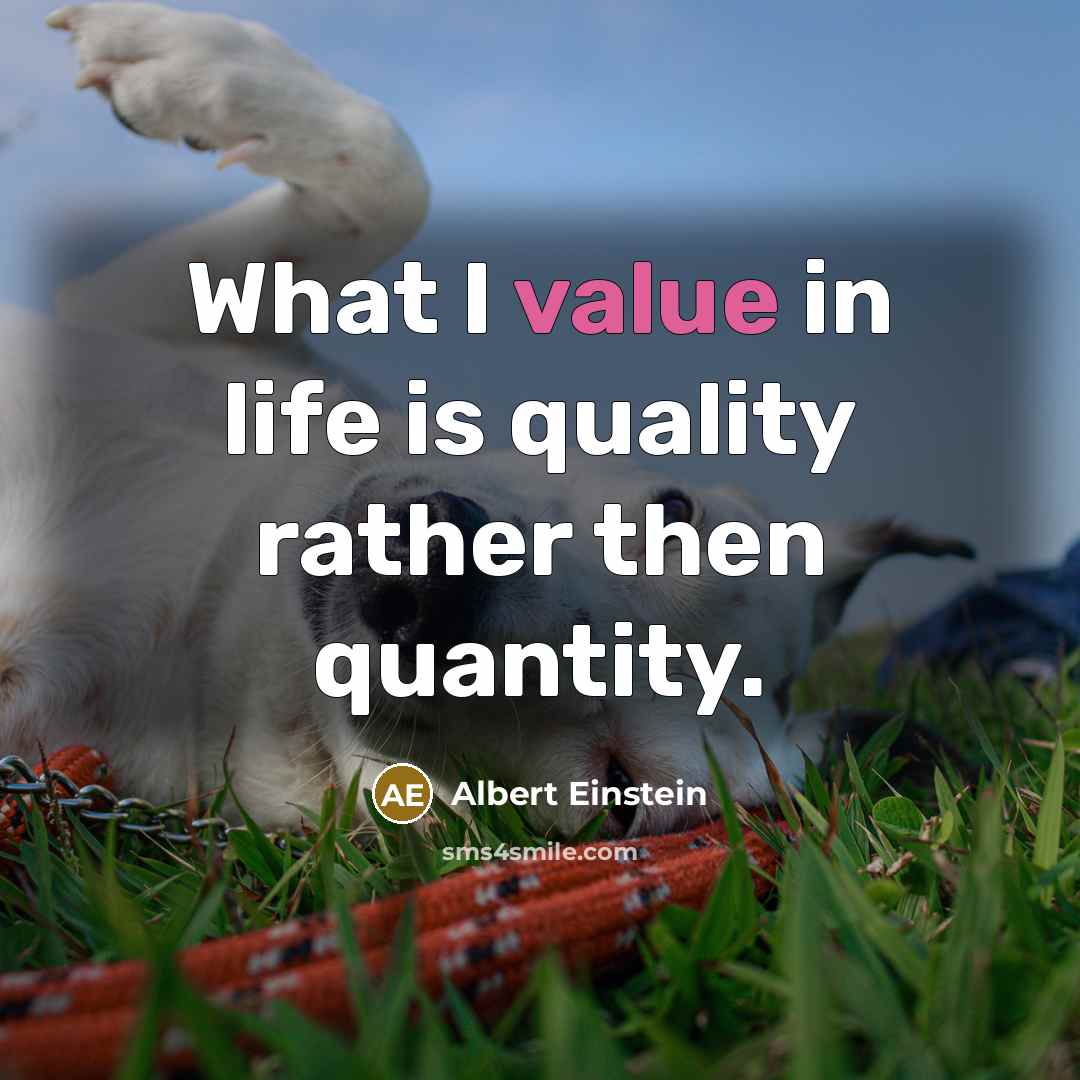 “What I value in life is quality rather then quantity.” quote by Albert Einstein