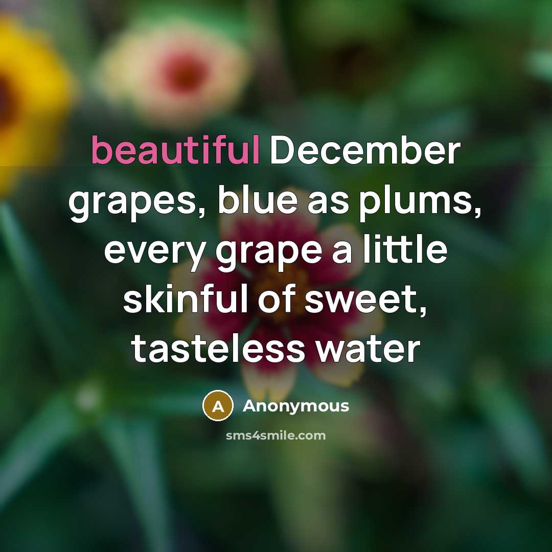 “beautiful December grapes, blue as plums, every grape a little skinful of sweet, tasteless water” quote by Anonymous