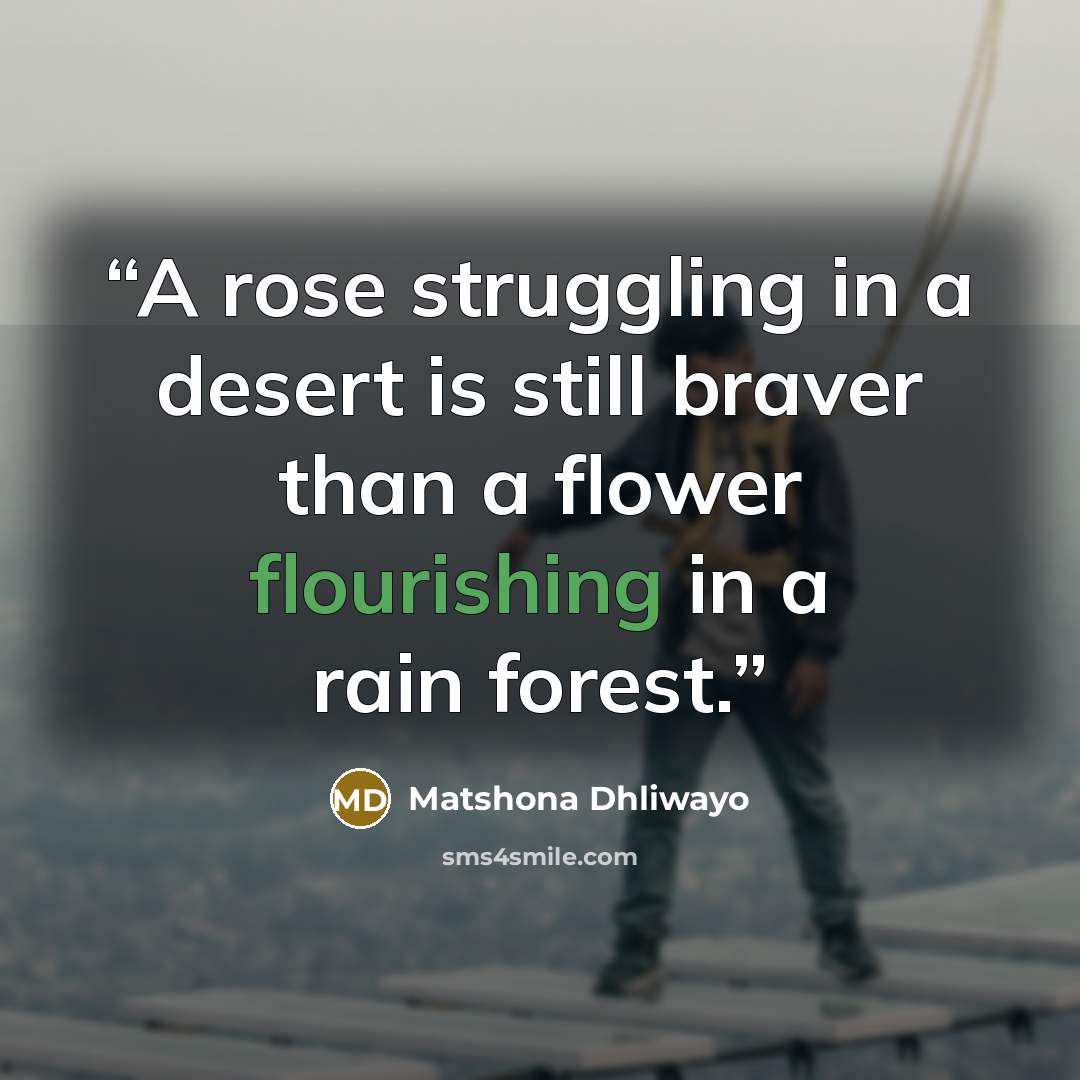 “A rose struggling in a desert is still braver than a flower flourishing in a rain forest.” quote by Matshona Dhliwayo