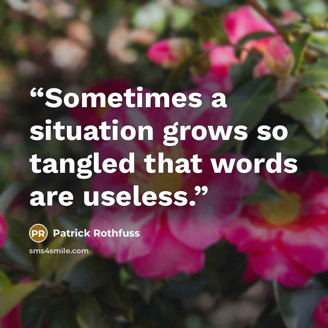 “Sometimes a situation grows so tangled that words are useless.” quote by Patrick Rothfuss