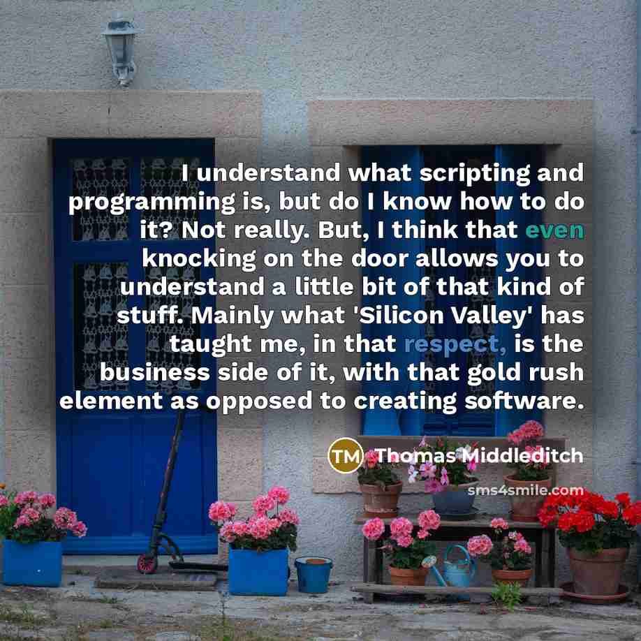 “I understand what scripting and programming is, but do I know how to do it? Not really. But, I think that even knocking on the door allows you to understand a little bit of that kind of stuff. Mainly what 'Silicon Valley' has taught me, in that respect, is the business side of it, with that gold…” quote by Thomas Middleditch