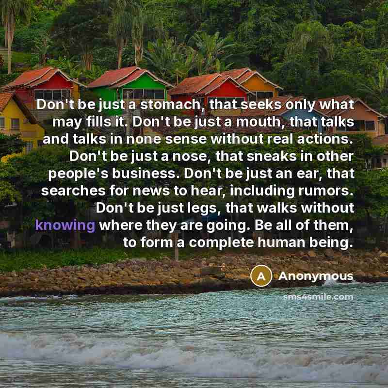 “Don't be just a stomach, that seeks only what may fills it. Don't be just a mouth, that talks and talks in none sense without real actions. Don't be just a nose, that sneaks in other people's business. Don't be just an ear, that searches for news to hear, including rumors. Don't be just legs, that…” quote by Anonymous