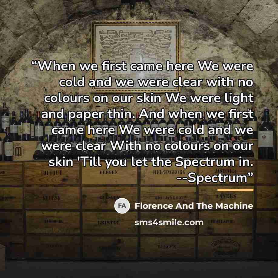 “When we first came here We were cold and we were clear with no colours on our skin We were light and paper thin. And when we first came here We were cold and we were clear With no colours on our skin 'Till you let the Spectrum in. --Spectrum” quote by Florence And The Machine