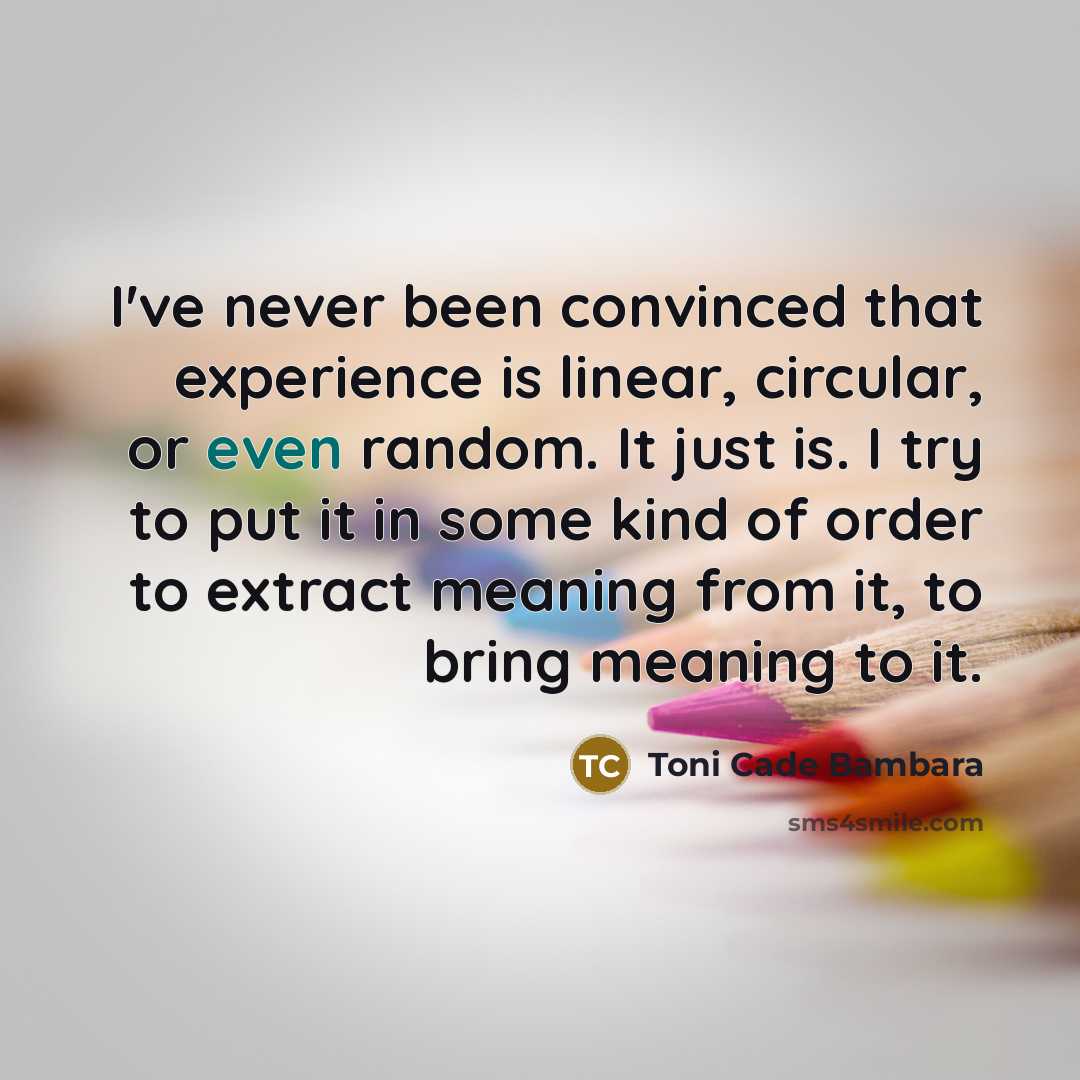 “I've never been convinced that experience is linear, circular, or even random. It just is. I try to put it in some kind of order to extract meaning from it, to bring meaning to it.” quote by Toni Cade Bambara