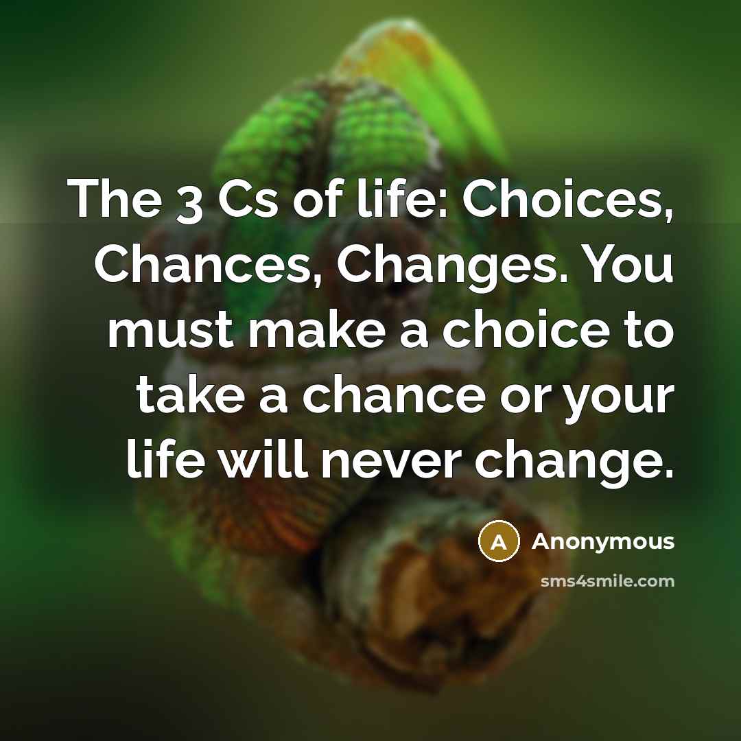 “The 3 Cs of life: Choices, Chances, Changes. You must make a choice to take a chance or your life will never change.” quote by Anonymous