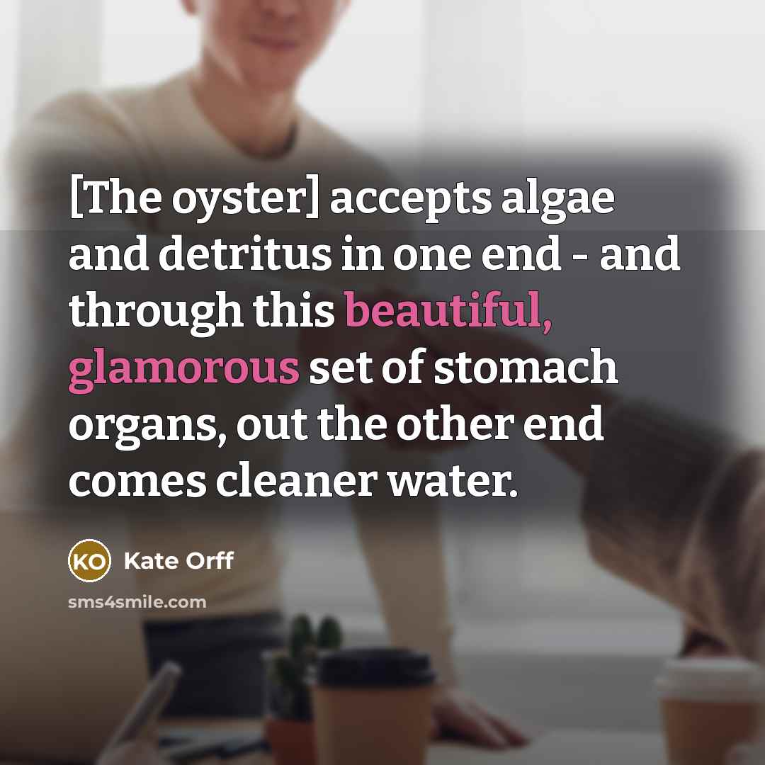 “[The oyster] accepts algae and detritus in one end - and through this beautiful, glamorous set of stomach organs, out the other end comes cleaner water.” quote by Kate Orff