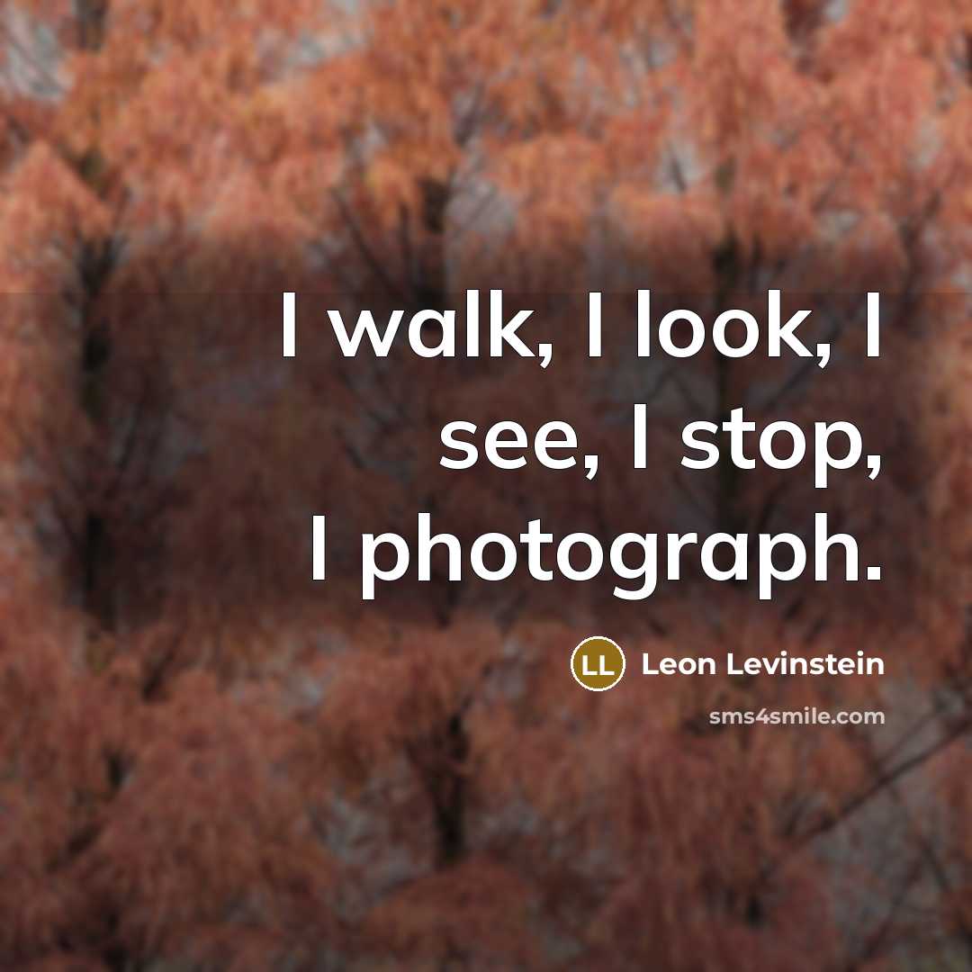 “I walk, I look, I see, I stop, I photograph.” quote by Leon Levinstein