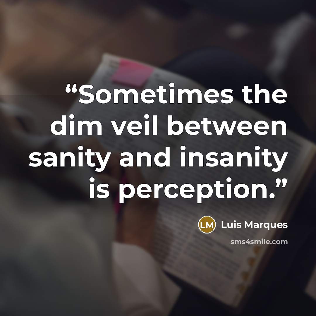 “Sometimes the dim veil between sanity and insanity is perception.” quote by Luis Marques