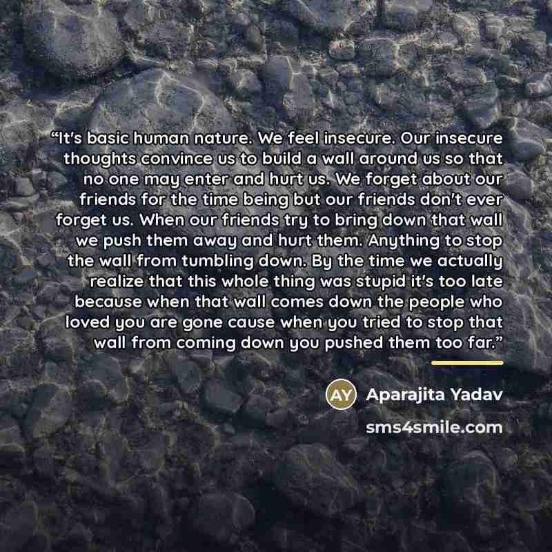 “It's basic human nature. We feel insecure. Our insecure thoughts convince us to build a wall around us so that no one may enter and hurt us. We forget about our friends for the time being but our friends don't ever forget us. When our friends try to bring down that wall we push them away and hurt…” quote by Aparajita Yadav