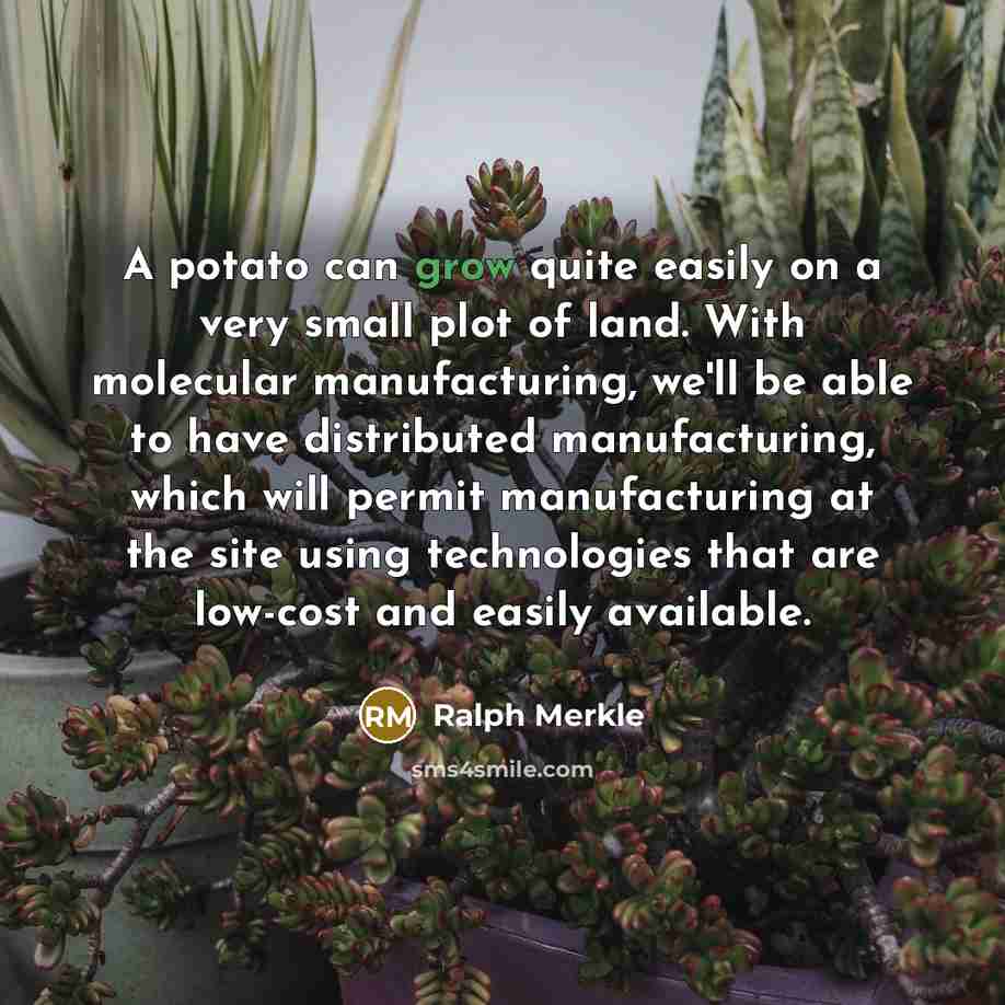 “A potato can grow quite easily on a very small plot of land. With molecular manufacturing, we'll be able to have distributed manufacturing, which will permit manufacturing at the site using technologies that are low-cost and easily available.” quote by Ralph Merkle