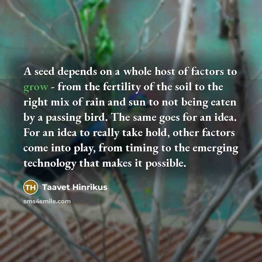 “A seed depends on a whole host of factors to grow - from the fertility of the soil to the right mix of rain and sun to not being eaten by a passing bird. The same goes for an idea. For an idea to really take hold, other factors come into play, from timing to the emerging technology that makes it…” quote by Taavet Hinrikus