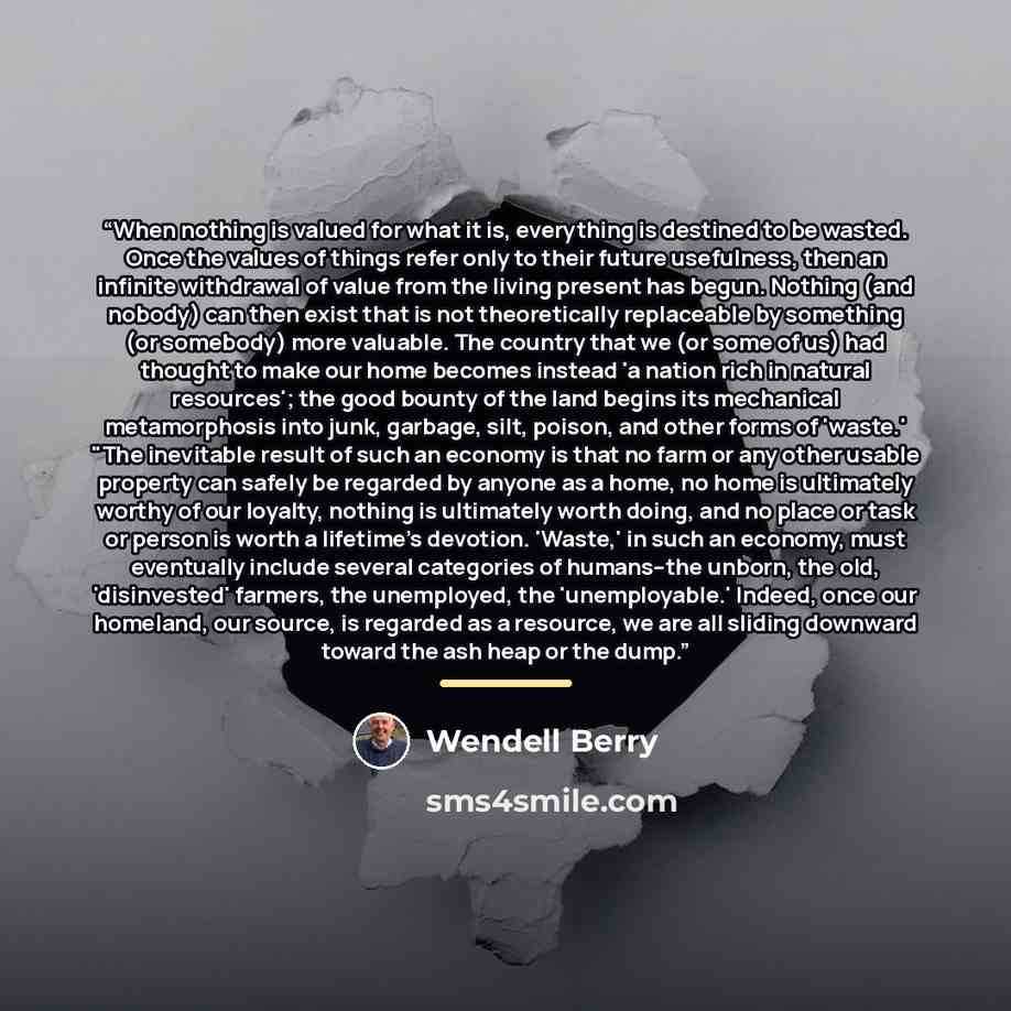 “When nothing is valued for what it is, everything is destined to be wasted. Once the values of things refer only to their future usefulness, then an infinite withdrawal of value from the living present has begun. Nothing (and nobody) can then exist that is not theoretically replaceable by…” quote by Wendell Berry