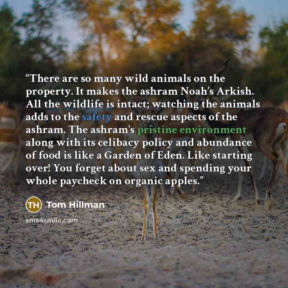 “There are so many wild animals on the property. It makes the ashram Noah’s Arkish. All the wildlife is intact; watching the animals adds to the safety and rescue aspects of the ashram. The ashram’s pristine environment along with its celibacy policy and abundance of food is like a Garden of Eden…” quote by Tom Hillman