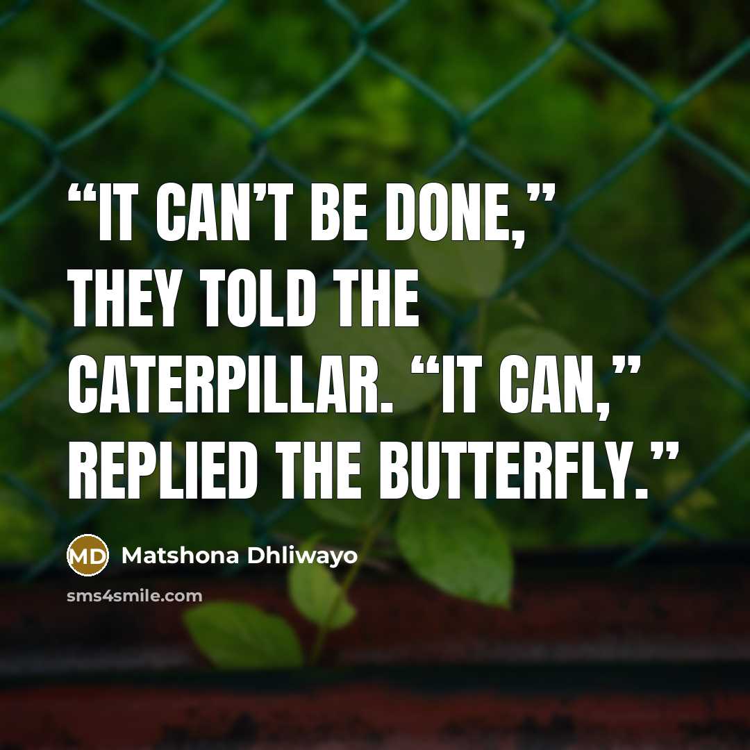 “It can’t be done,” they told the caterpillar. “It can,” replied the butterfly.” quote by Matshona Dhliwayo