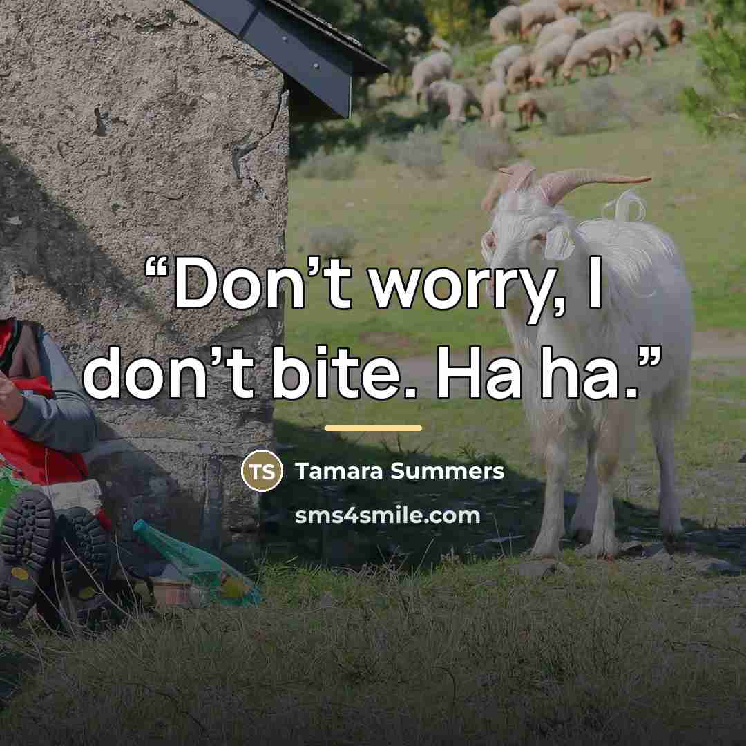 “Don't worry, I don't bite. Ha ha.” quote by Tamara Summers