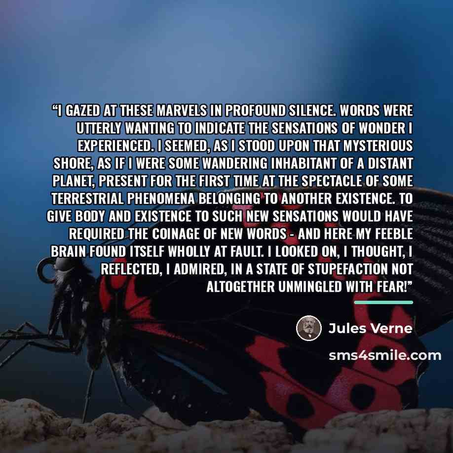 “I gazed at these marvels in profound silence. Words were utterly wanting to indicate the sensations of wonder I experienced. I seemed, as I stood upon that mysterious shore, as if I were some wandering inhabitant of a distant planet, present for the first time at the spectacle of some terrestrial…” quote by Jules Verne