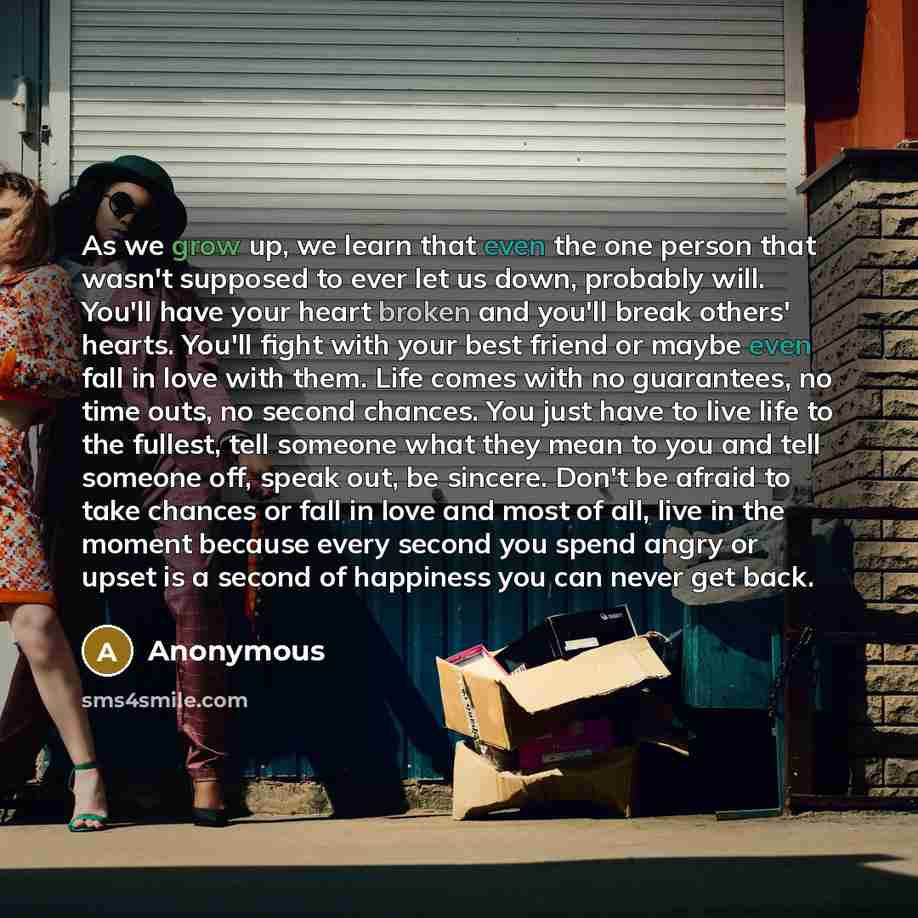 “As we grow up, we learn that even the one person that wasn't supposed to ever let us down, probably will. You'll have your heart broken and you'll break others' hearts. You'll fight with your best friend or maybe even fall in love with them. Life comes with no guarantees, no time outs, no second…” quote by Anonymous