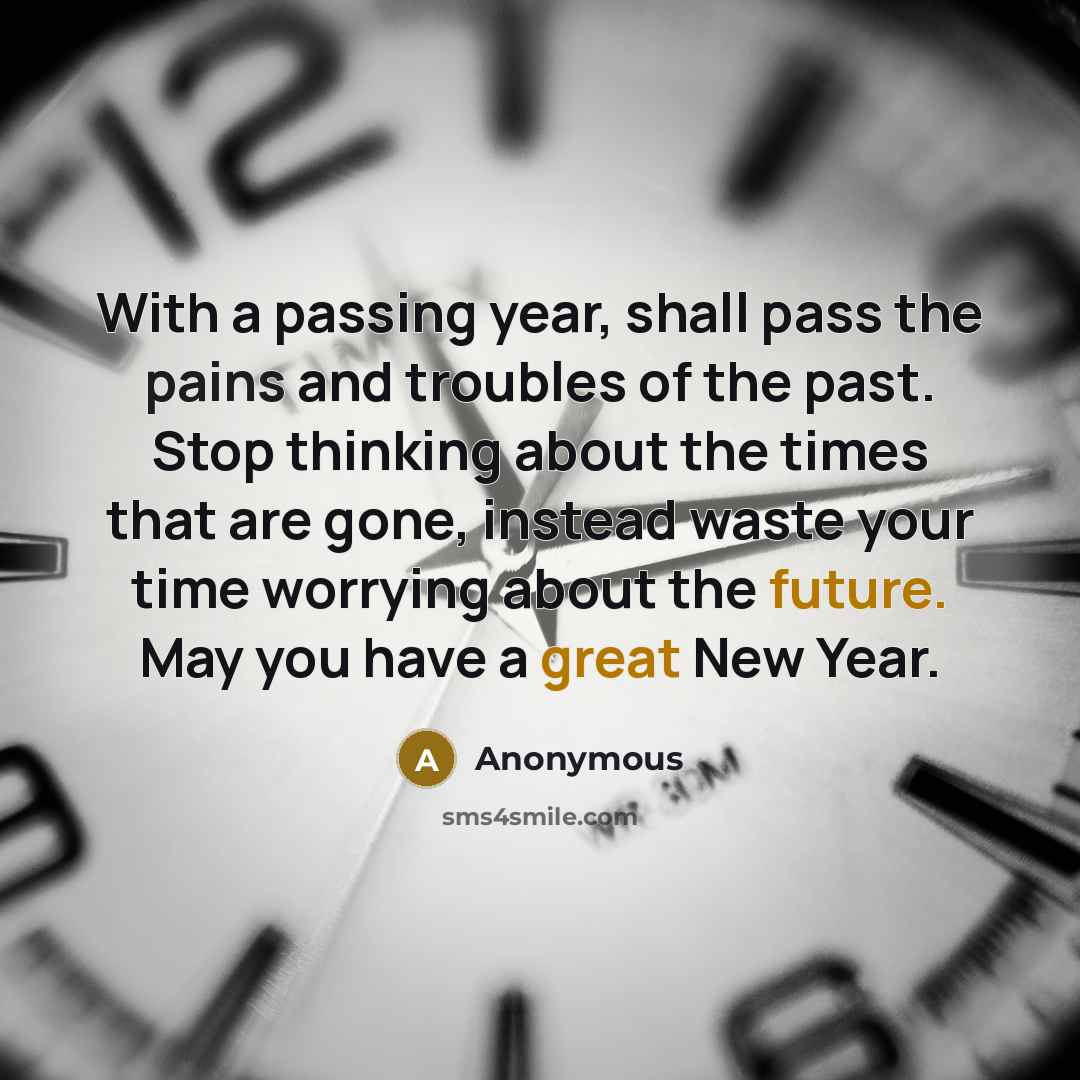 “With a passing year, shall pass the pains and troubles of the past. Stop thinking about the times that are gone, instead waste your time worrying about the future. May you have a great New Year.” quote by Anonymous