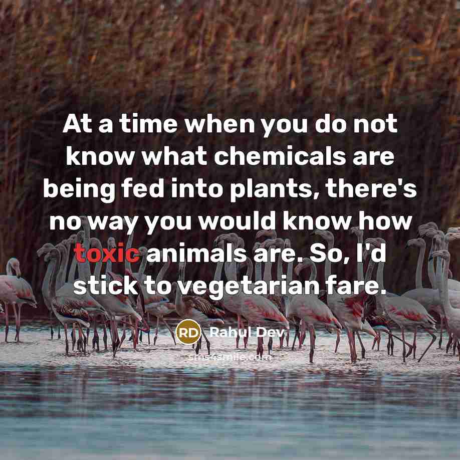 “At a time when you do not know what chemicals are being fed into plants, there's no way you would know how toxic animals are. So, I'd stick to vegetarian fare.” quote by Rahul Dev