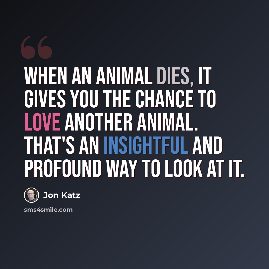 “When an animal dies, it gives you the chance to love another animal. That's an insightful and profound way to look at it.” quote by Jon Katz