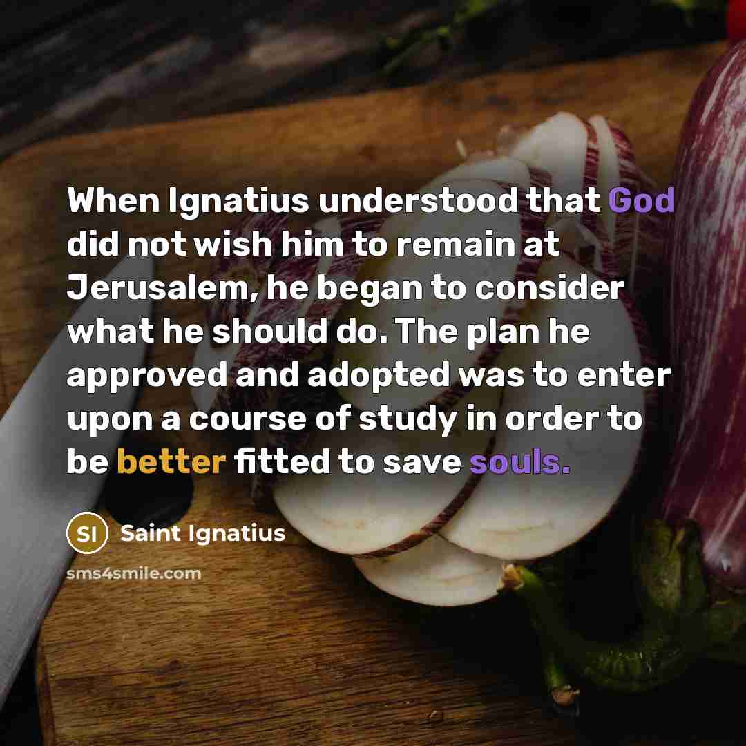 “When Ignatius understood that God did not wish him to remain at Jerusalem, he began to consider what he should do. The plan he approved and adopted was to enter upon a course of study in order to be better fitted to save souls.” quote by Saint Ignatius
