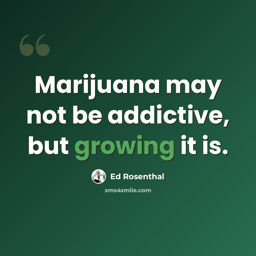 “Marijuana may not be addictive, but growing it is.” quote by Ed Rosenthal