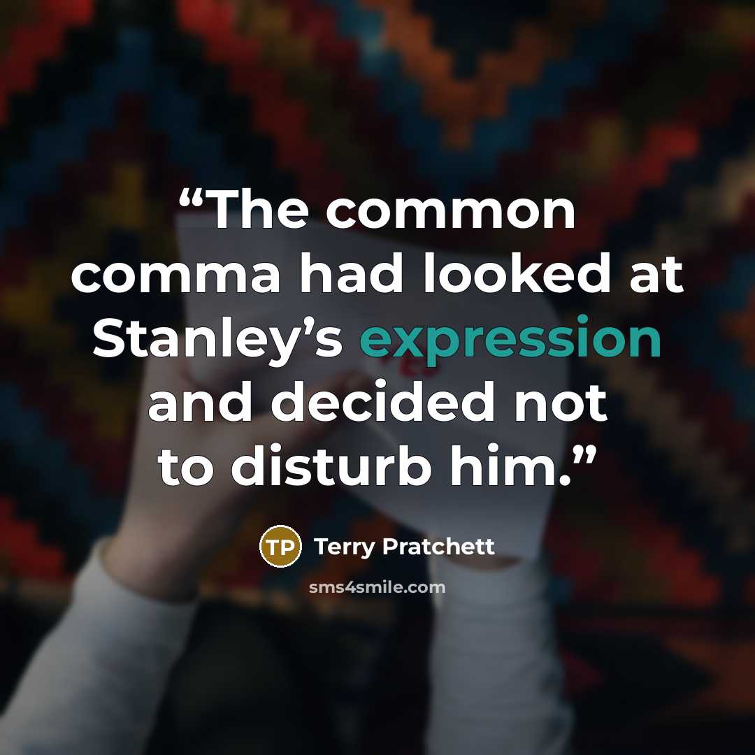 “The common comma had looked at Stanley’s expression and decided not to disturb him.” quote by Terry Pratchett