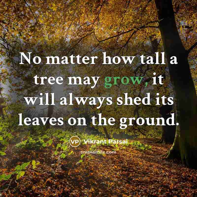“No matter how tall a tree may grow, it will always shed its leaves on the ground.” quote by Vikrant Parsai
