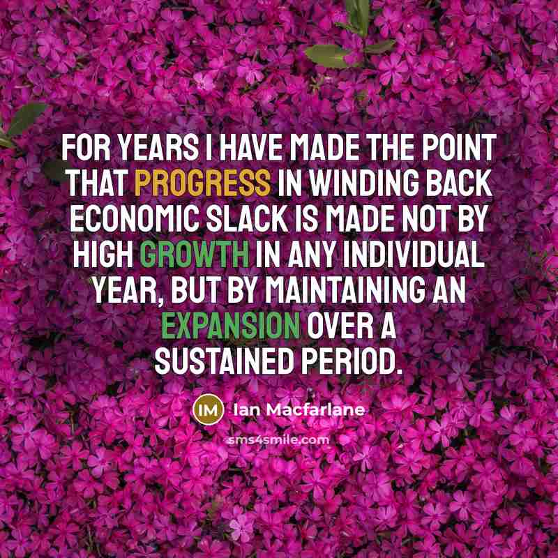 “For years I have made the point that progress in winding back economic slack is made not by high growth in any individual year, but by maintaining an expansion over a sustained period.” quote by Ian Macfarlane