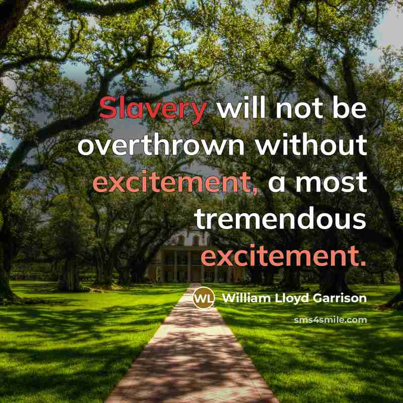 “Slavery will not be overthrown without excitement, a most tremendous excitement.” quote by William Lloyd Garrison