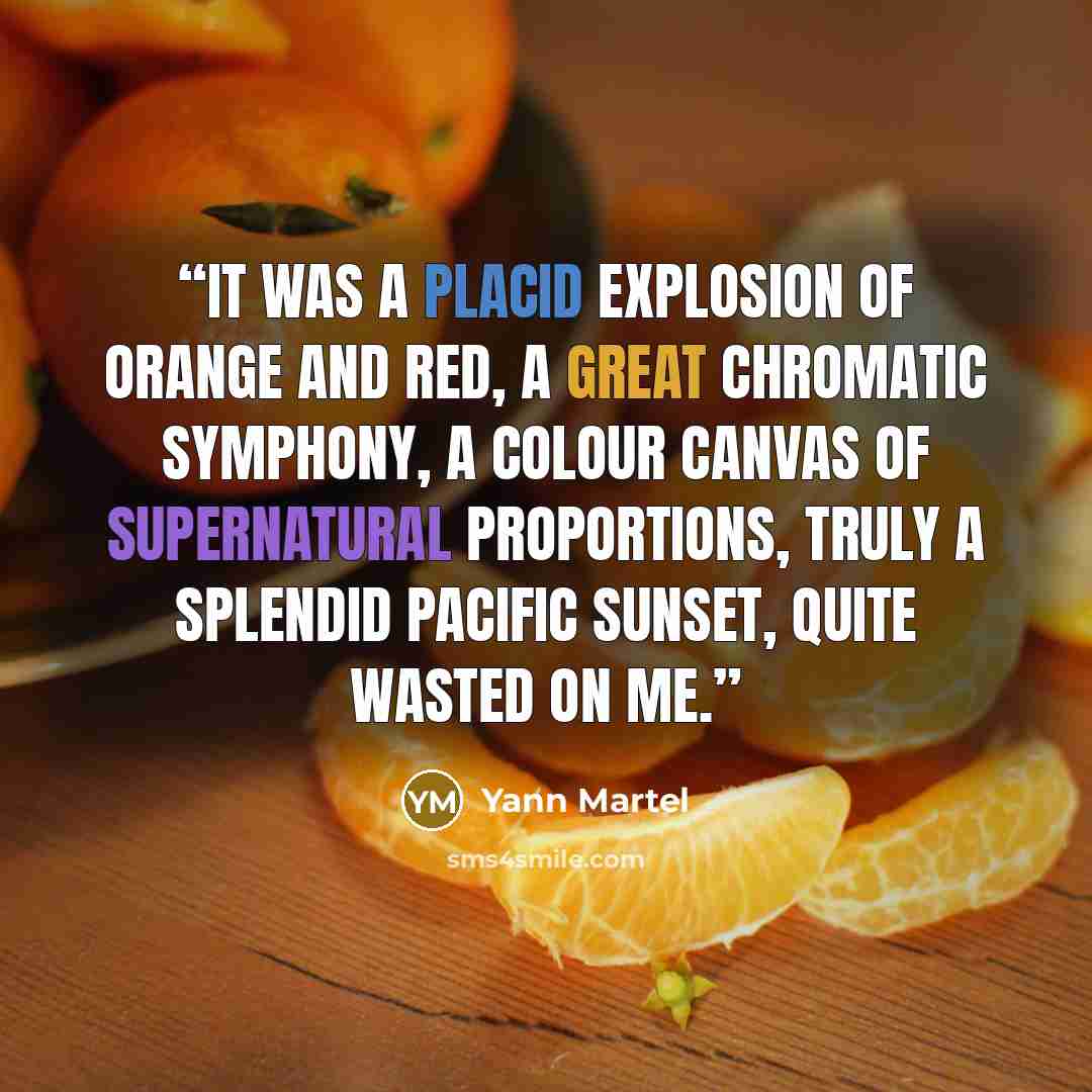 “It was a placid explosion of orange and red, a great chromatic symphony, a colour canvas of supernatural proportions, truly a splendid Pacific sunset, quite wasted on me.” quote by Yann Martel