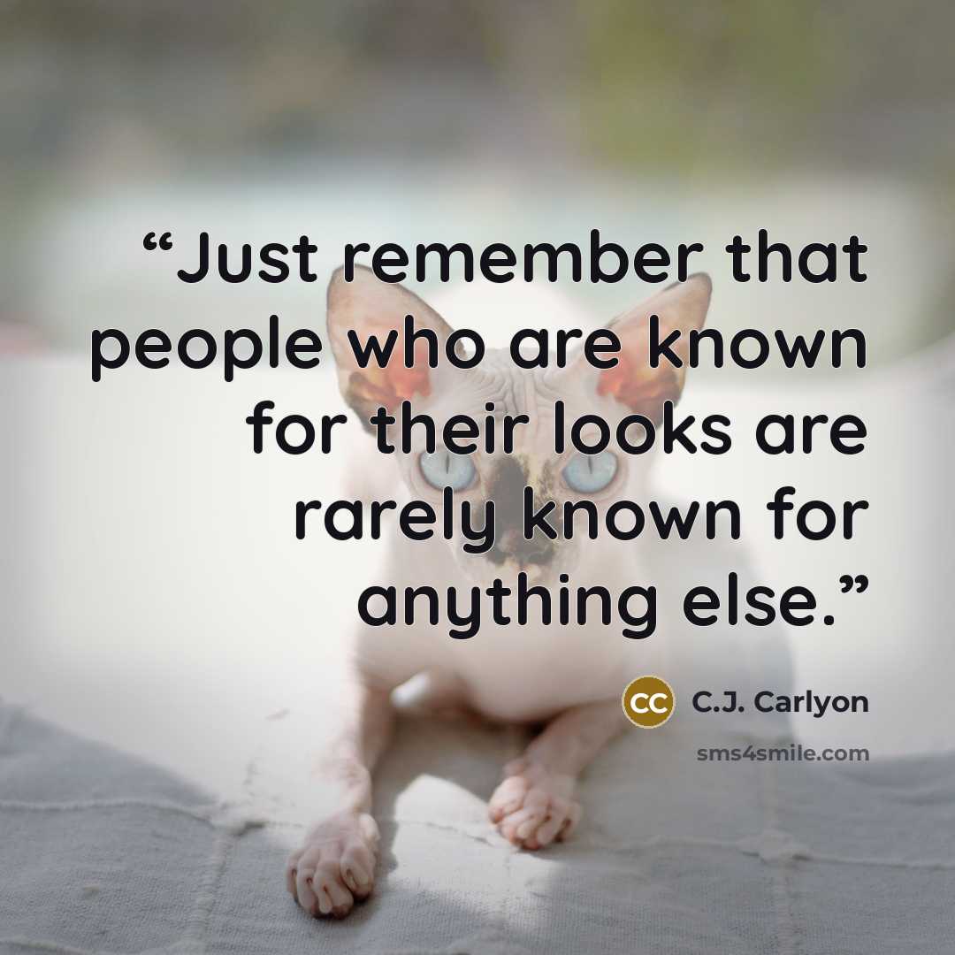 “Just remember that people who are known for their looks are rarely known for anything else.” quote by C.J. Carlyon