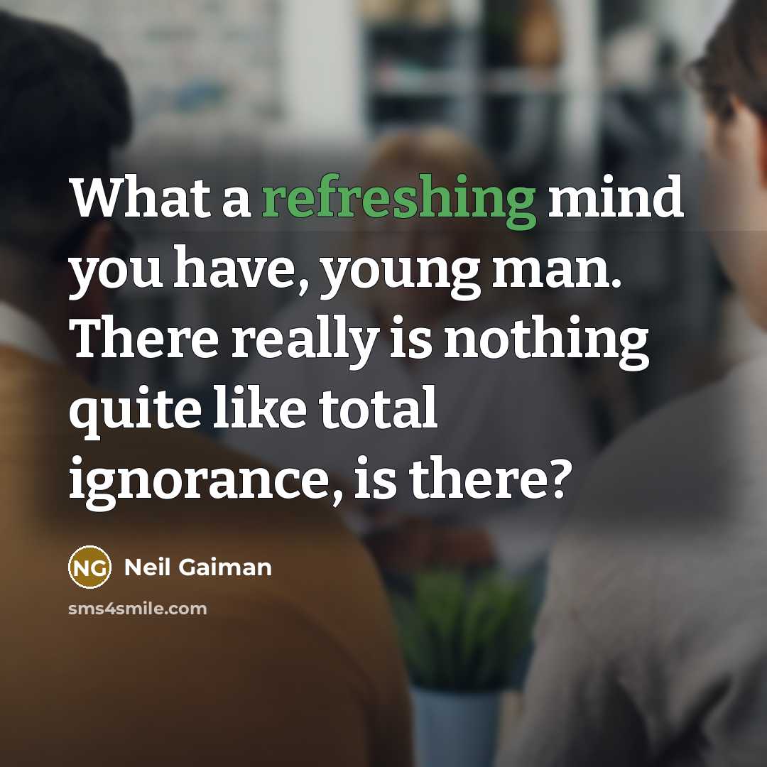 “What a refreshing mind you have, young man. There really is nothing quite like total ignorance, is there?” quote by Neil Gaiman