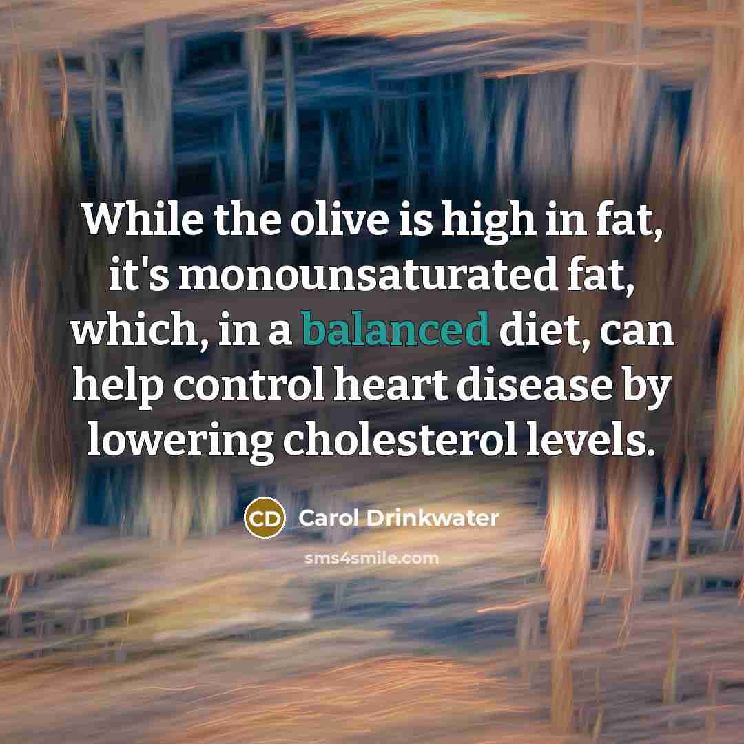 “While the olive is high in fat, it's monounsaturated fat, which, in a balanced diet, can help control heart disease by lowering cholesterol levels.” quote by Carol Drinkwater