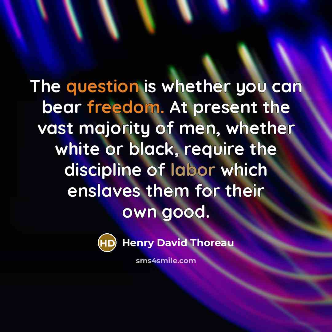 “The question is whether you can bear freedom. At present the vast majority of men, whether white or black, require the discipline of labor which enslaves them for their own good.” quote by Henry David Thoreau