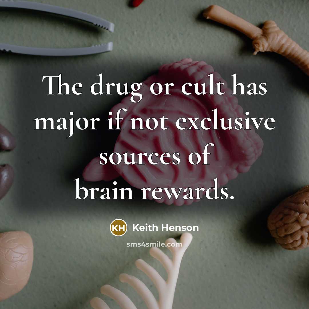 “The drug or cult has major if not exclusive sources of brain rewards.” quote by Keith Henson