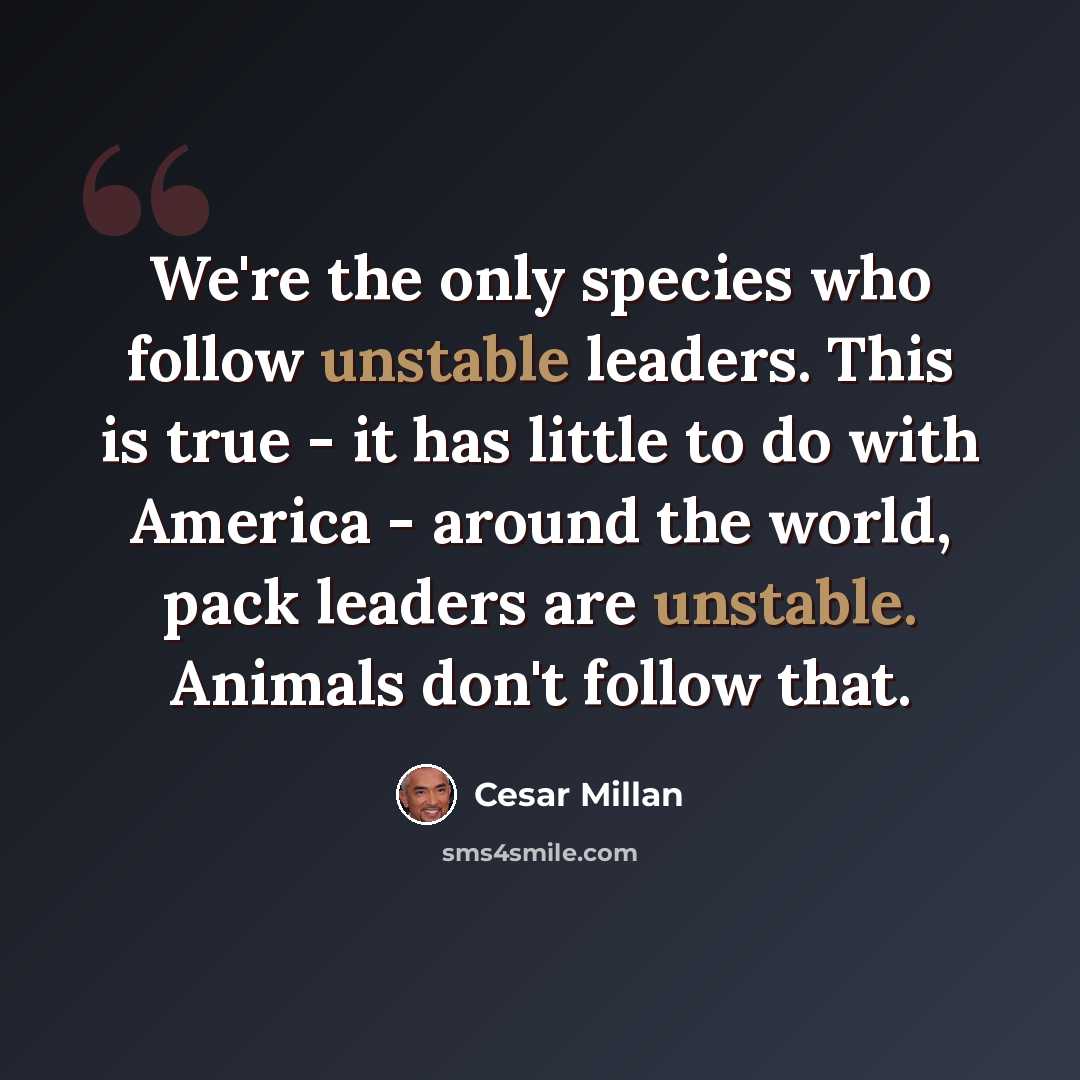 “We're the only species who follow unstable leaders. This is true - it has little to do with America - around the world, pack leaders are unstable. Animals don't follow that.” quote by Cesar Millan