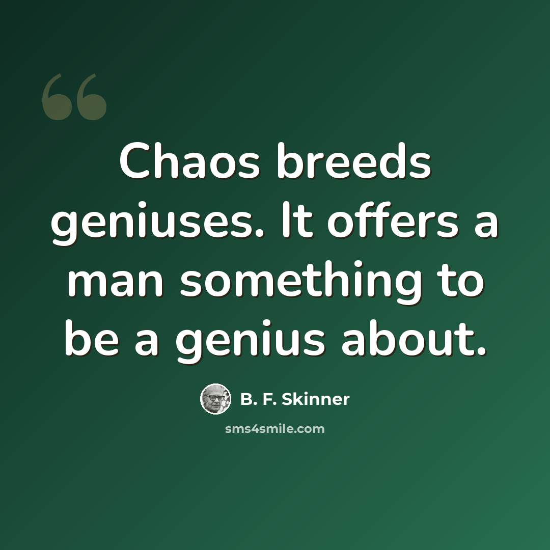 “Chaos breeds geniuses. It offers a man something to be a genius about.” quote by B. F. Skinner